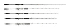 MAXEL Sealion Limited Jigging Rods